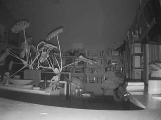 voyeurcam bridgetleewalters 02